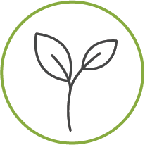 Pflanz-Pflegearbeiten